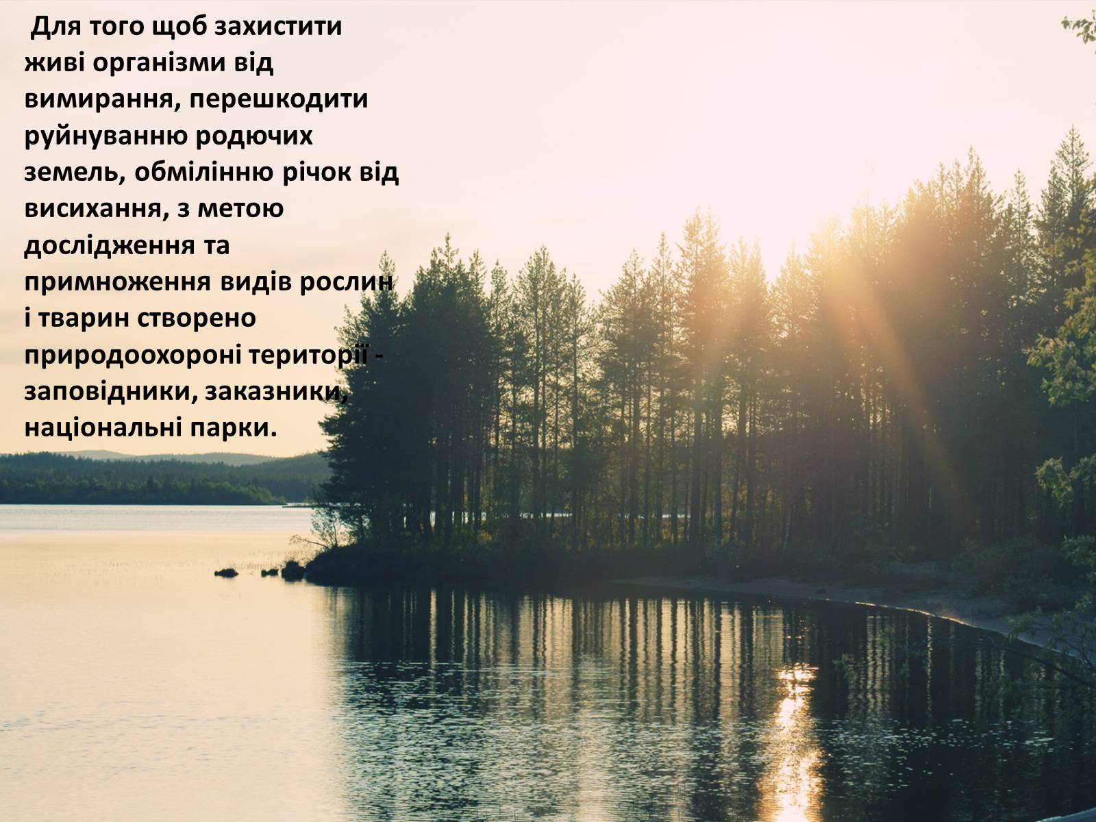Презентація на тему «Людина і біосфера. Охорона біосфери» (варіант 3) - Слайд #6 Презентація на тему «Людина і біосфера. Охорона біосфери» (варіант 3) - Слайд #6