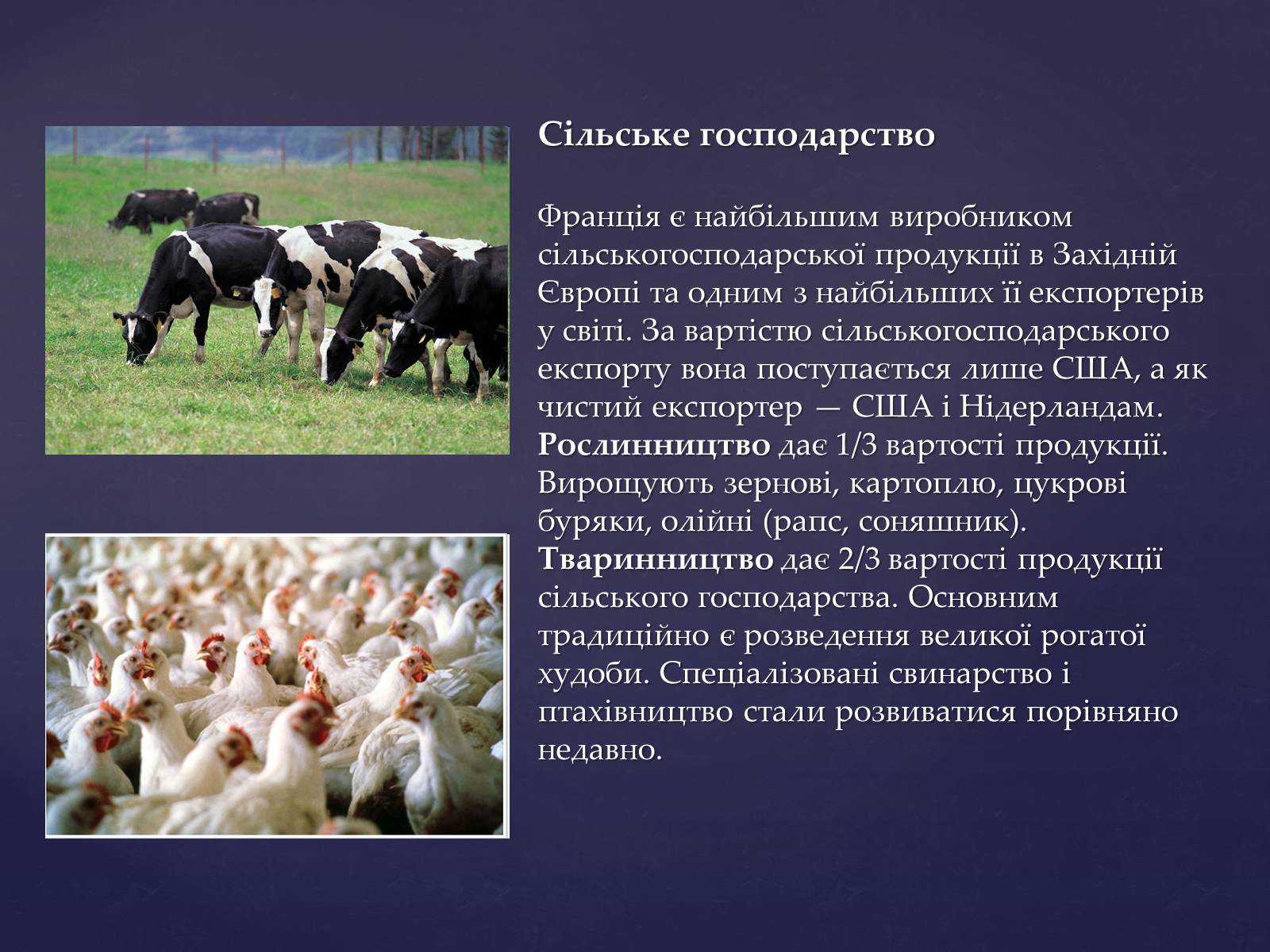 Презентація на тему «Економіко-географічне положення Франції» (варіант 2) - Слайд #6 Презентація на тему «Економіко-географічне положення Франції» (варіант 2) - Слайд #6