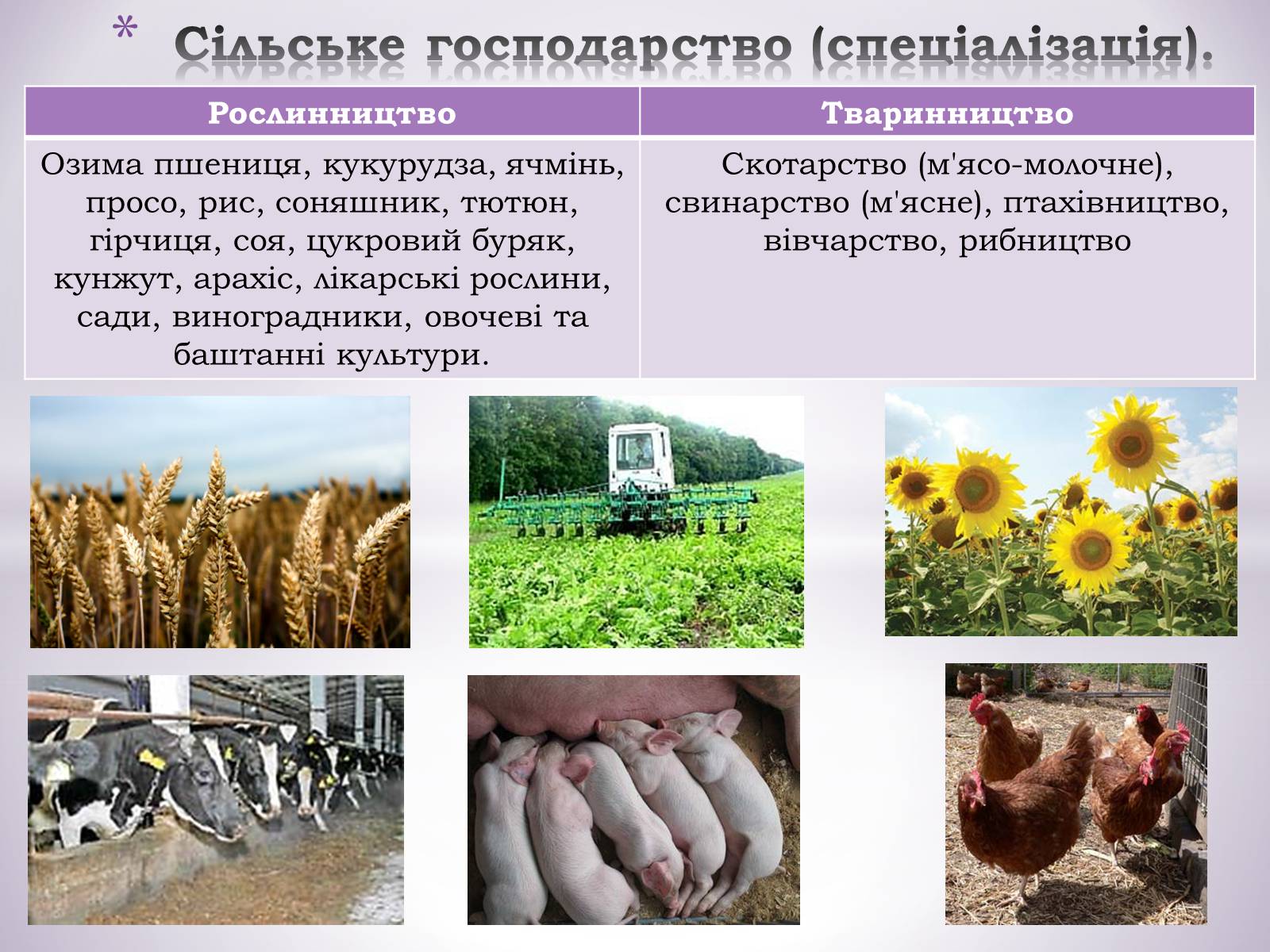 Презентація на тему «Причорноморський економічний район» (варіант 1) - Слайд #23 Презентація на тему «Причорноморський економічний район» (варіант 1) - Слайд #23