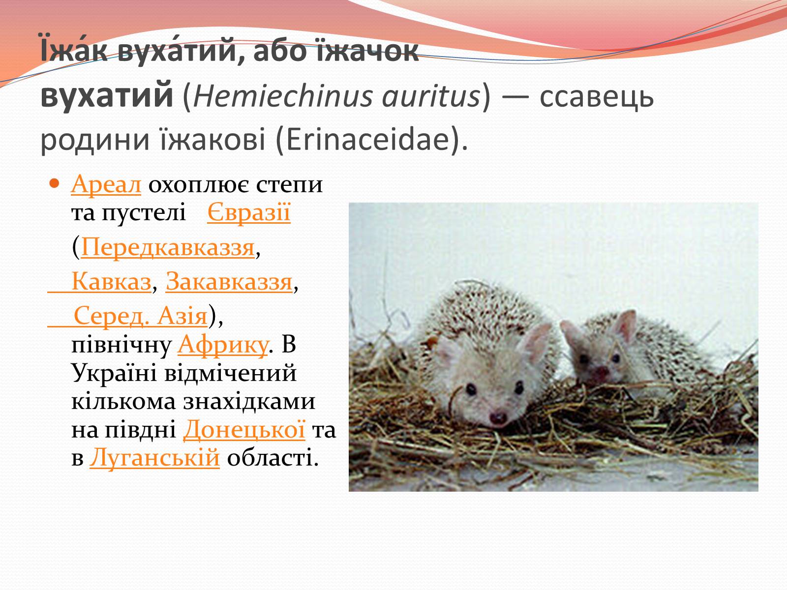 Презентація на тему «Червона книга України» (варіант 10) - Слайд #11 Презентація на тему «Червона книга України» (варіант 10) - Слайд #11
