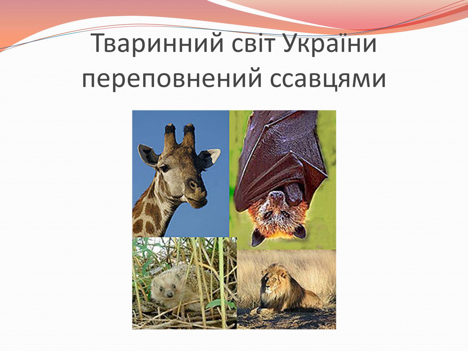 Презентація на тему «Червона книга України» (варіант 10) - Слайд #2 Презентація на тему «Червона книга України» (варіант 10) - Слайд #2