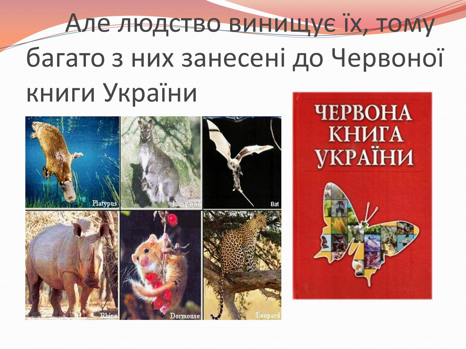 Презентація на тему «Червона книга України» (варіант 10) - Слайд #3 Презентація на тему «Червона книга України» (варіант 10) - Слайд #3
