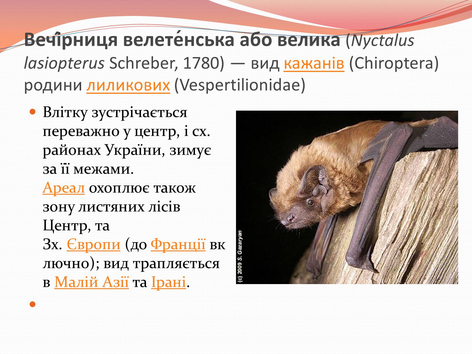Презентація на тему «Червона книга України» (варіант 10) - Слайд #7 Презентація на тему «Червона книга України» (варіант 10) - Слайд #7