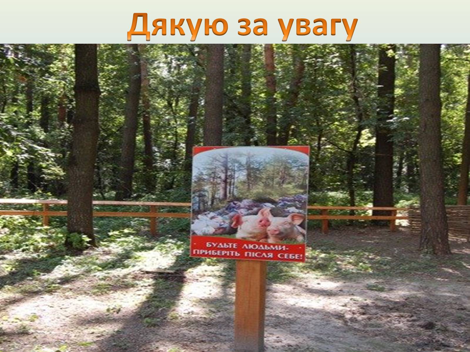 Презентація на тему «Забруднення лісів» - Слайд #10 Презентація на тему «Забруднення лісів» - Слайд #10