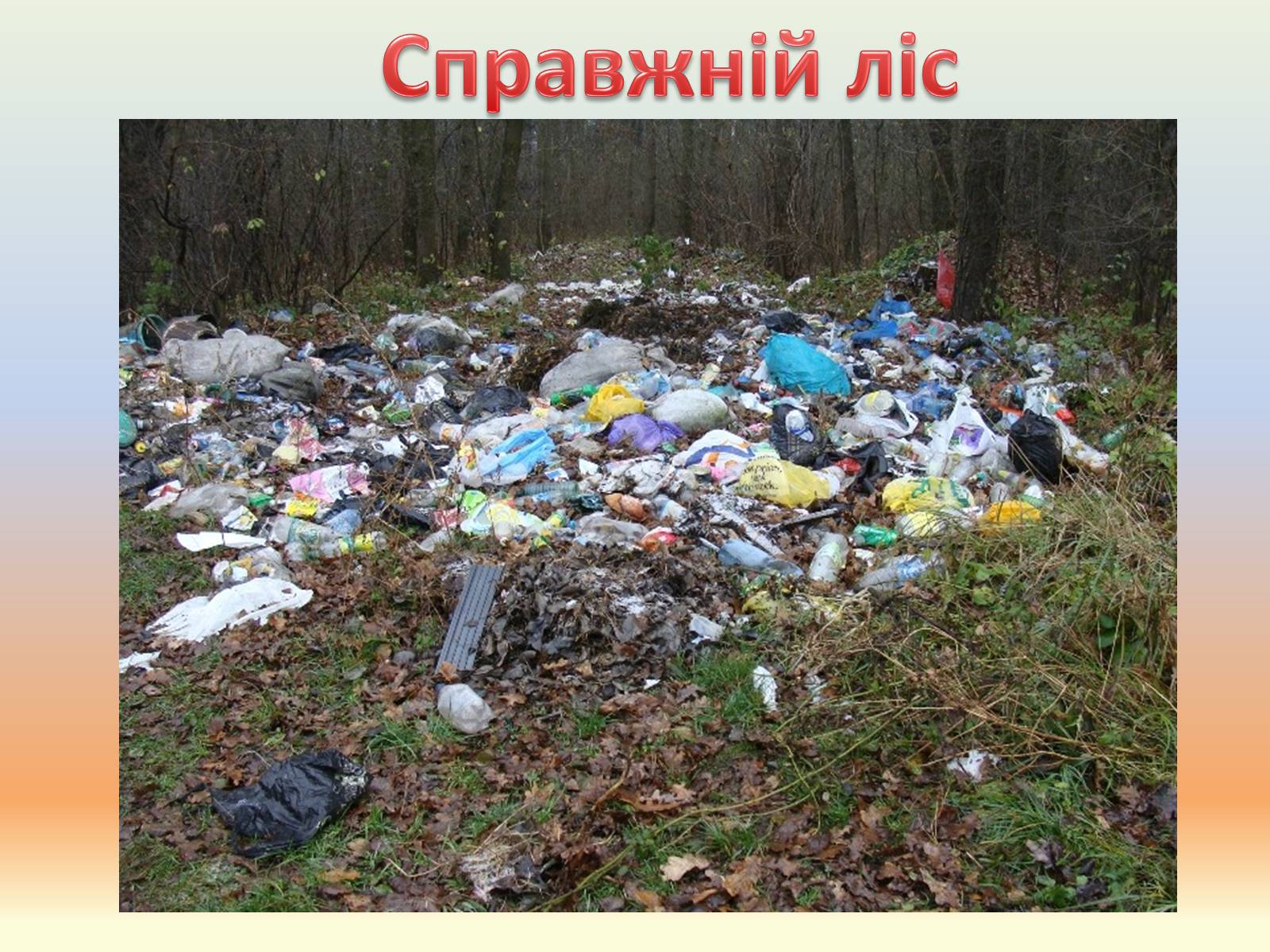 Презентація на тему «Забруднення лісів» - Слайд #3 Презентація на тему «Забруднення лісів» - Слайд #3