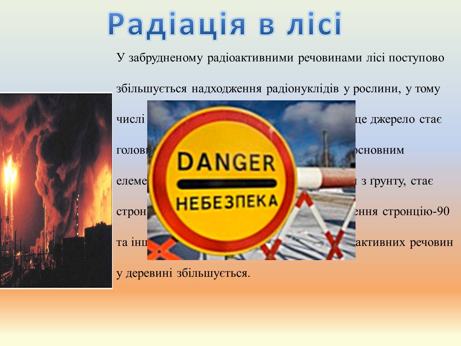 Презентація на тему «Забруднення лісів» - Слайд #6 Презентація на тему «Забруднення лісів» - Слайд #6