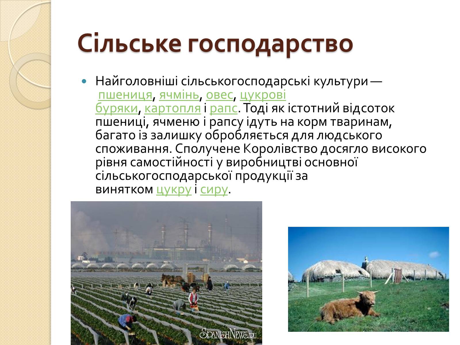 Презентація на тему «Велика Британія» (варіант 5) - Слайд #15 Презентація на тему «Велика Британія» (варіант 5) - Слайд #15