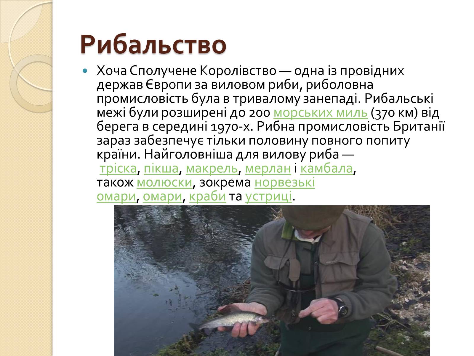 Презентація на тему «Велика Британія» (варіант 5) - Слайд #17 Презентація на тему «Велика Британія» (варіант 5) - Слайд #17