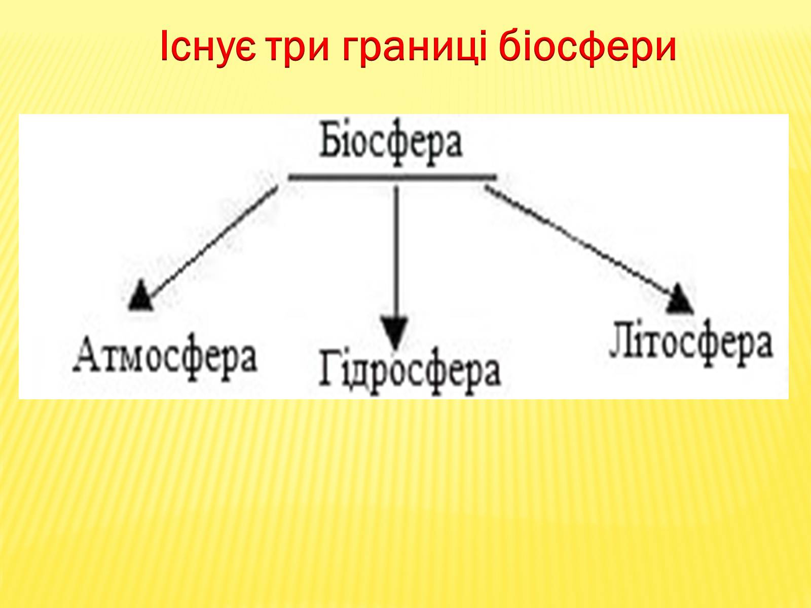 Презентація на тему «Основні положення вчення Вернадського про біосферу» - Слайд #6 Презентація на тему «Основні положення вчення Вернадського про біосферу» - Слайд #6