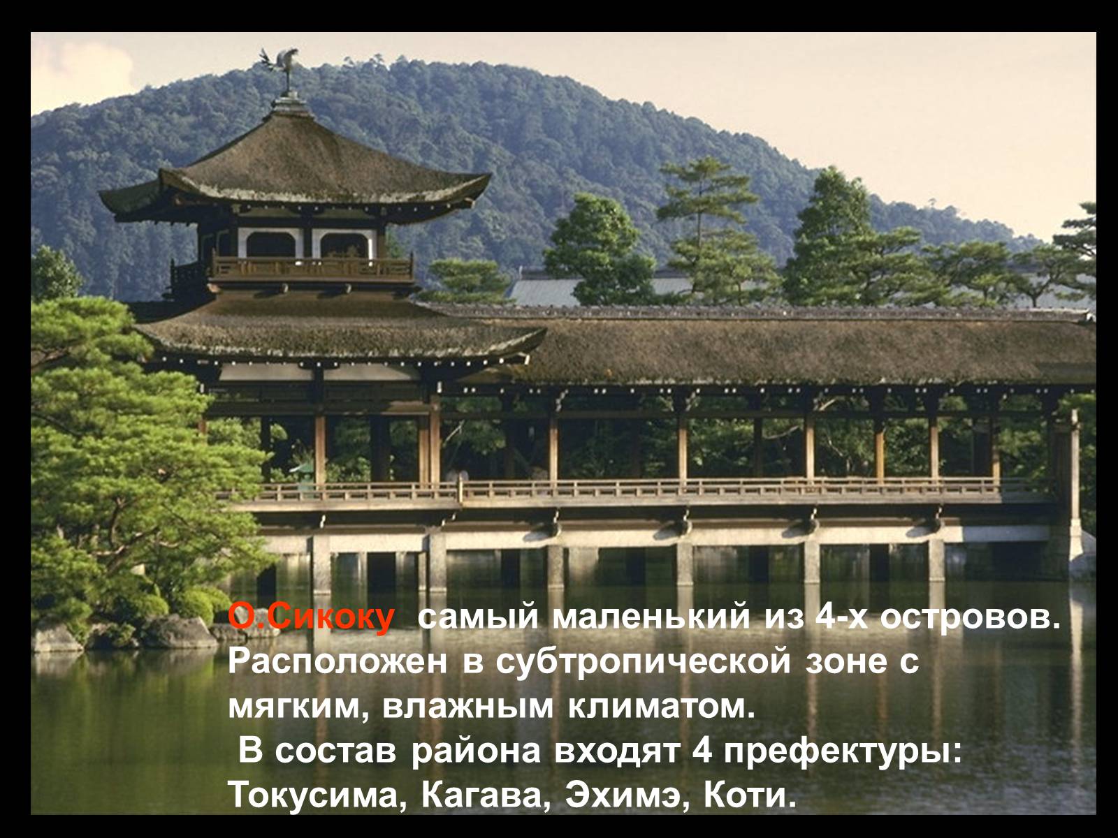 Презентація на тему «Японія» (варіант 37) - Слайд #11 Презентація на тему «Японія» (варіант 37) - Слайд #11