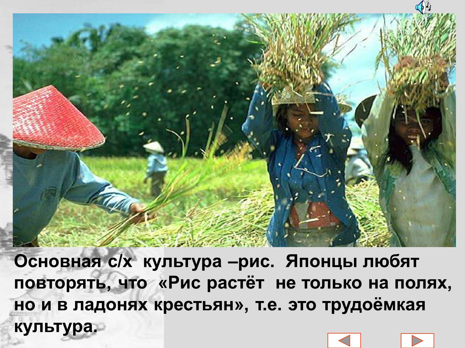 Презентація на тему «Японія» (варіант 37) - Слайд #27 Презентація на тему «Японія» (варіант 37) - Слайд #27