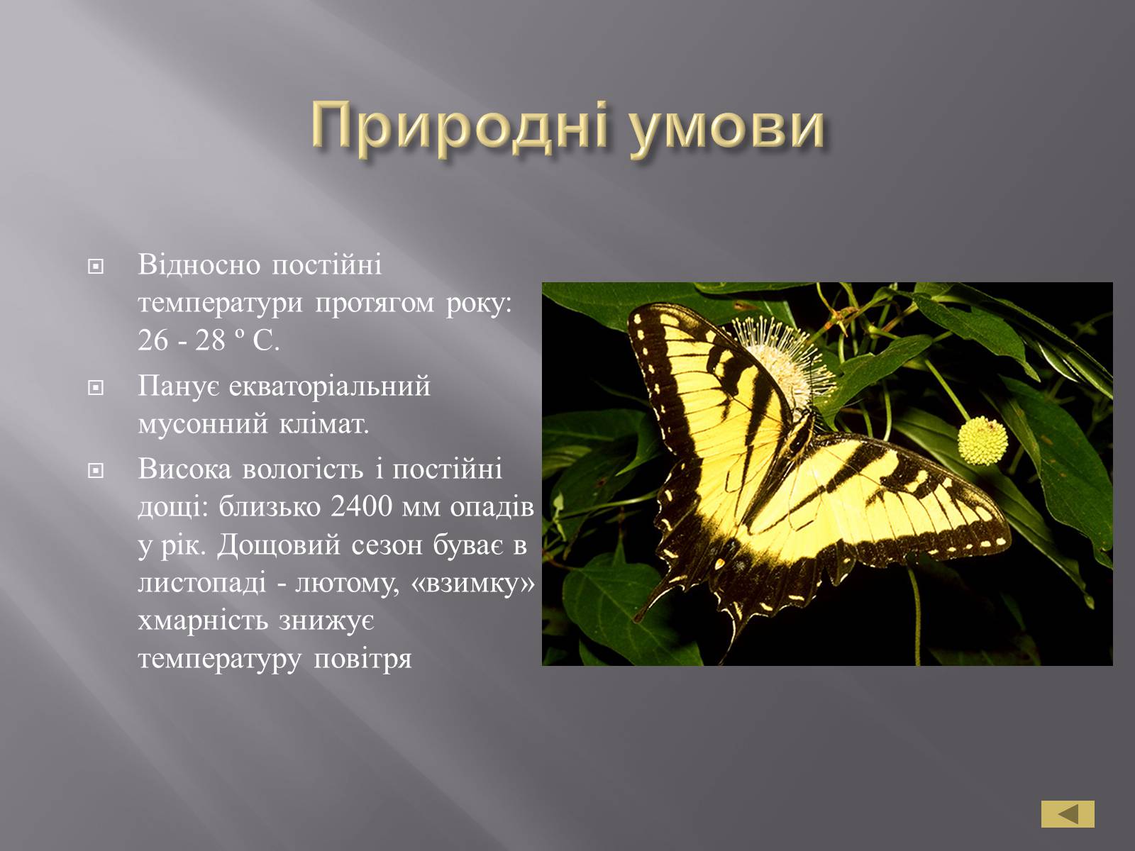 Презентація на тему «Сінгапур» (варіант 2) - Слайд #5 Презентація на тему «Сінгапур» (варіант 2) - Слайд #5