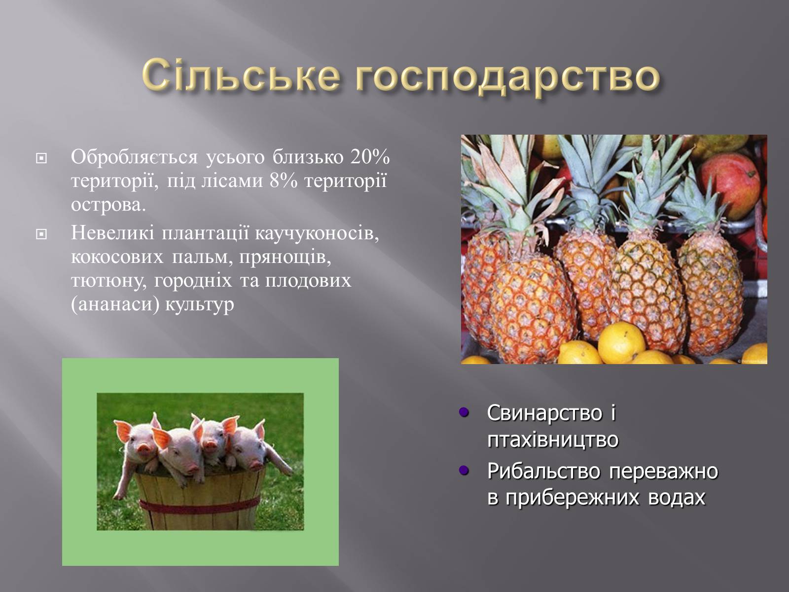 Презентація на тему «Сінгапур» (варіант 2) - Слайд #7 Презентація на тему «Сінгапур» (варіант 2) - Слайд #7