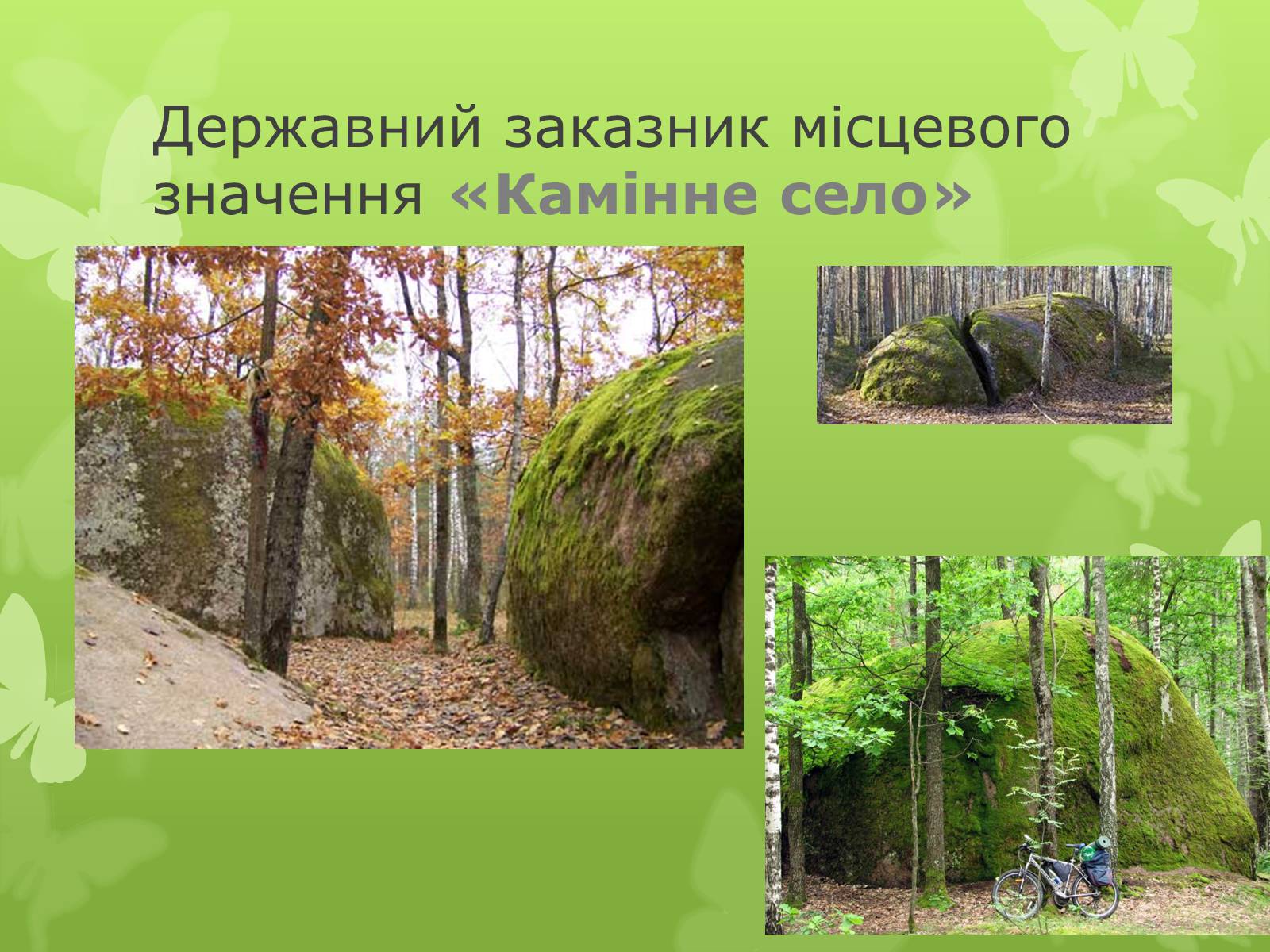Презентація на тему «Основні категорії заповідних об’єктів» (варіант 1) - Слайд #18 Презентація на тему «Основні категорії заповідних об’єктів» (варіант 1) - Слайд #18