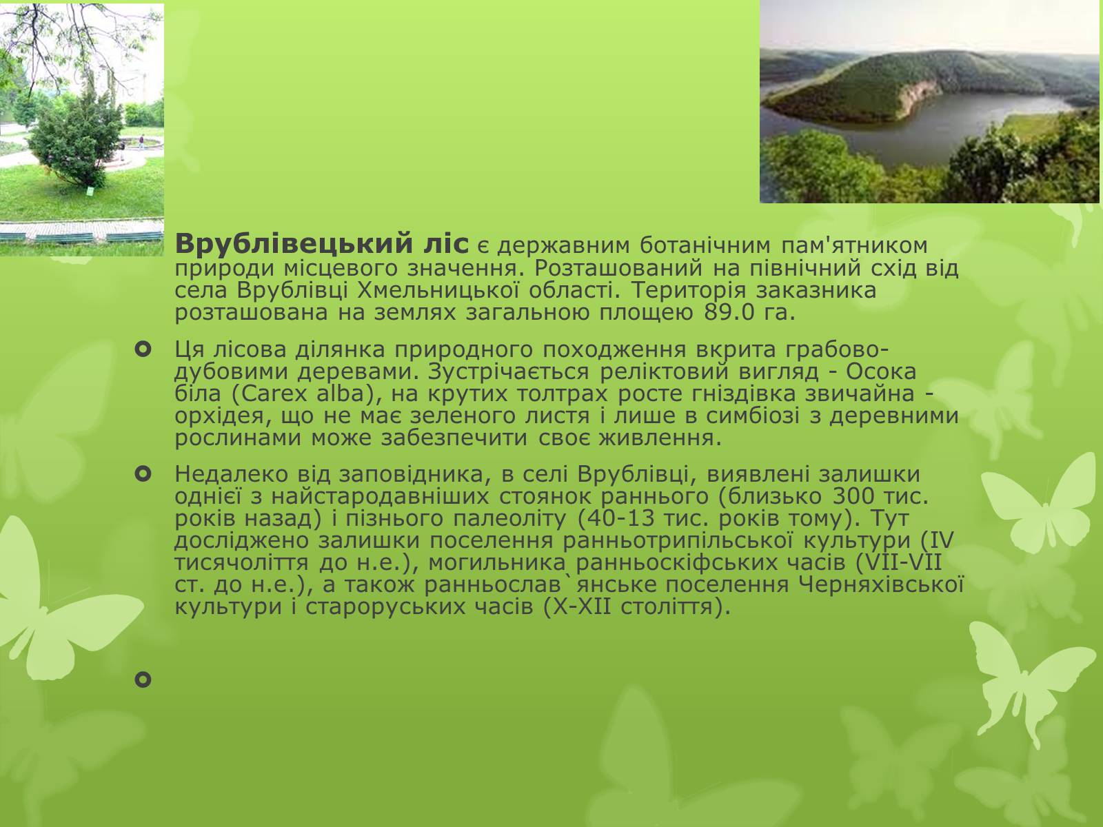 Презентація на тему «Основні категорії заповідних об’єктів» (варіант 1) - Слайд #23 Презентація на тему «Основні категорії заповідних об’єктів» (варіант 1) - Слайд #23