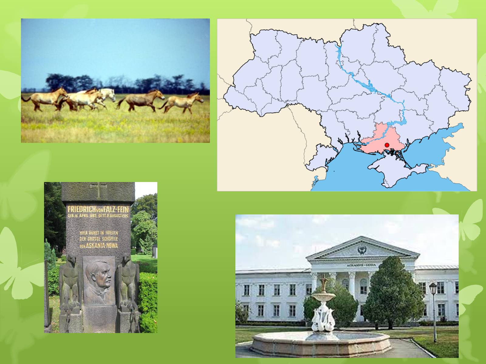 Презентація на тему «Основні категорії заповідних об’єктів» (варіант 1) - Слайд #9 Презентація на тему «Основні категорії заповідних об’єктів» (варіант 1) - Слайд #9