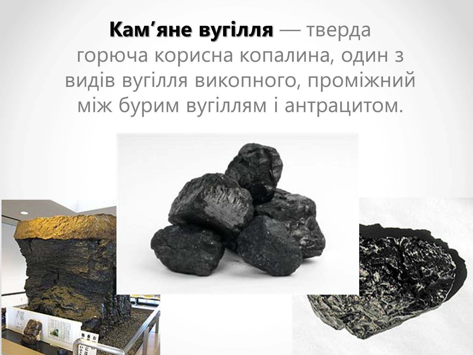 Презентація на тему «Кам*яне вугілля» (варіант 5) - Слайд #2 Презентація на тему «Кам*яне вугілля» (варіант 5) - Слайд #2