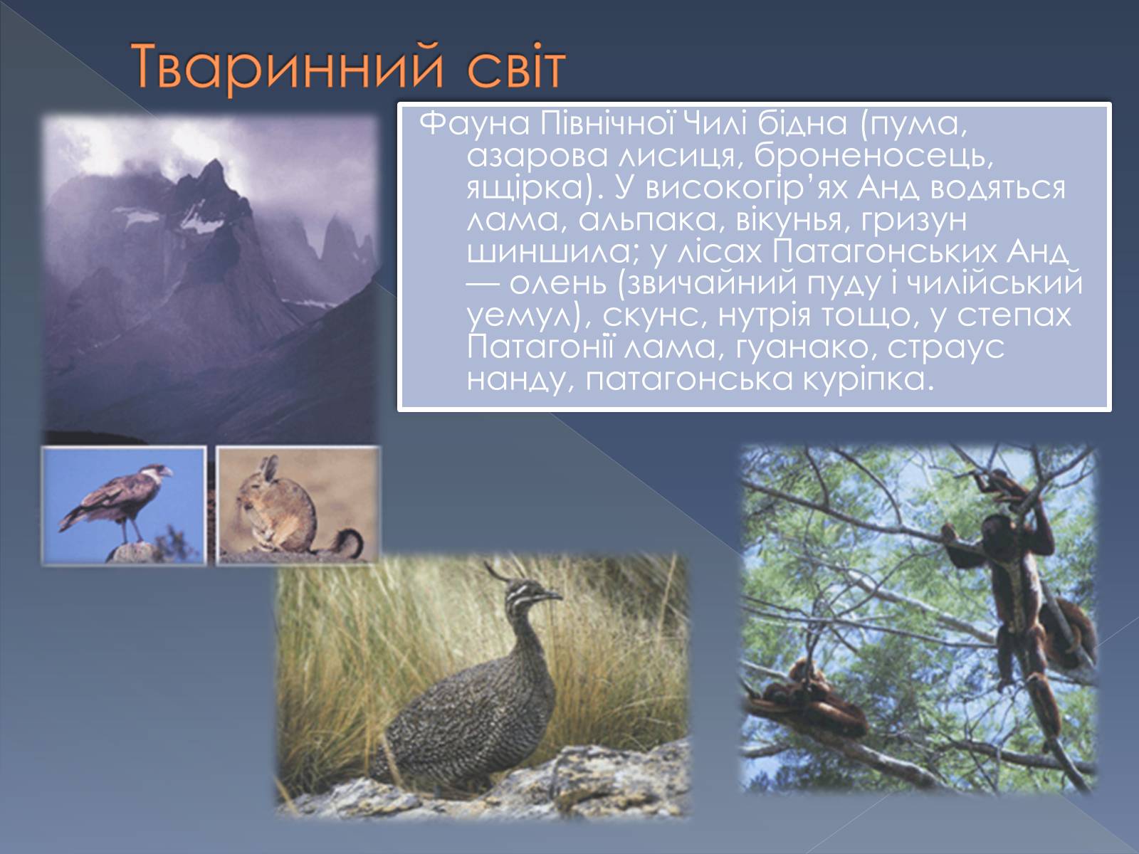 Презентація на тему «Республіка Чилі» - Слайд #12 Презентація на тему «Республіка Чилі» - Слайд #12