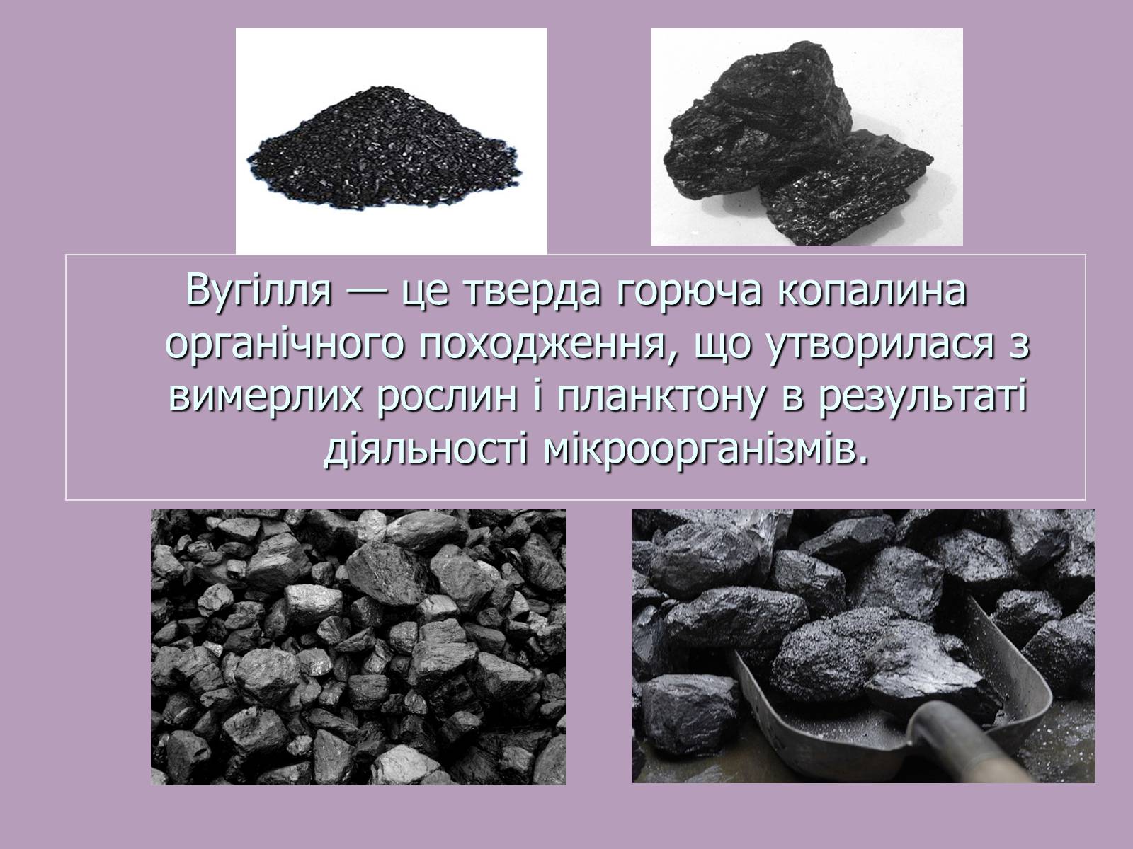 Презентація на тему «Кам’яне вугілля» (варіант 8) - Слайд #4 Презентація на тему «Кам’яне вугілля» (варіант 8) - Слайд #4