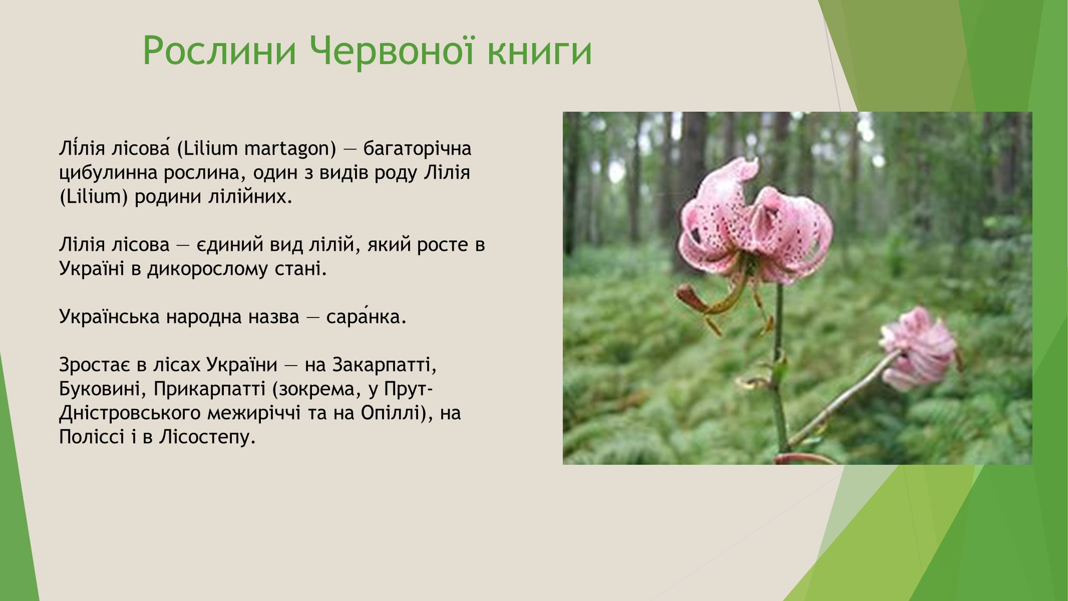 Презентація на тему «Червона книга України» (варіант 7) - Слайд #6 Презентація на тему «Червона книга України» (варіант 7) - Слайд #6
