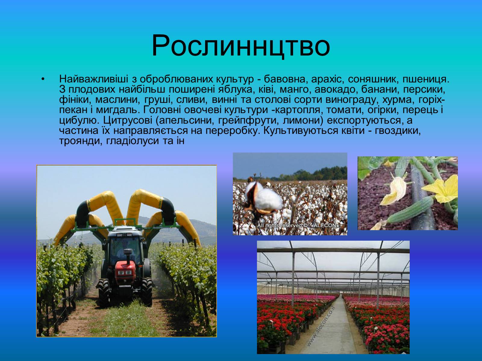 Презентація на тему «Повна характеристика Ізраїлю» - Слайд #9 Презентація на тему «Повна характеристика Ізраїлю» - Слайд #9
