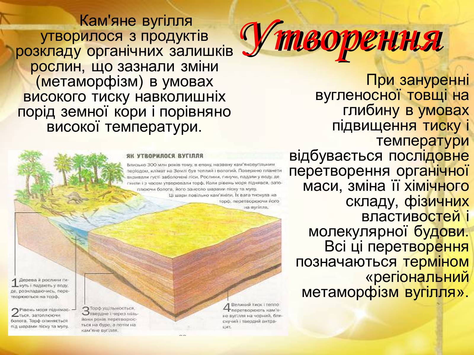 Презентація на тему «Кам’яне вугілля» (варіант 3) - Слайд #6 Презентація на тему «Кам’яне вугілля» (варіант 3) - Слайд #6