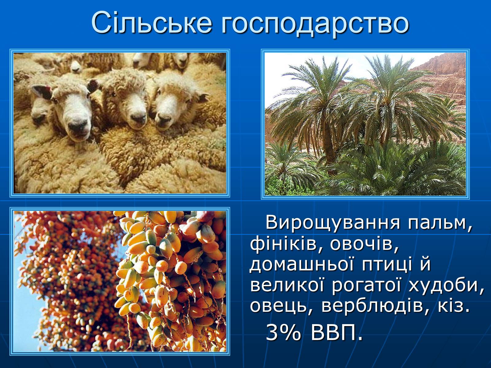 Презентація на тему «Об’єднані Арабські Емірати» (варіант 1) - Слайд #12 Презентація на тему «Об’єднані Арабські Емірати» (варіант 1) - Слайд #12