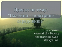 Презентація на тему «Наземно – повітряне середовище»