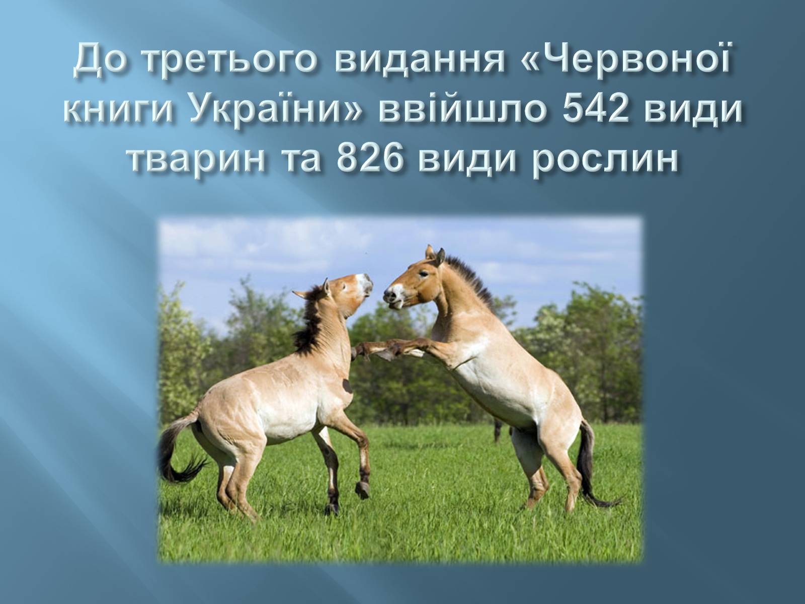 Презентація на тему «Червона книга України» (варіант 13) - Слайд #4 Презентація на тему «Червона книга України» (варіант 13) - Слайд #4