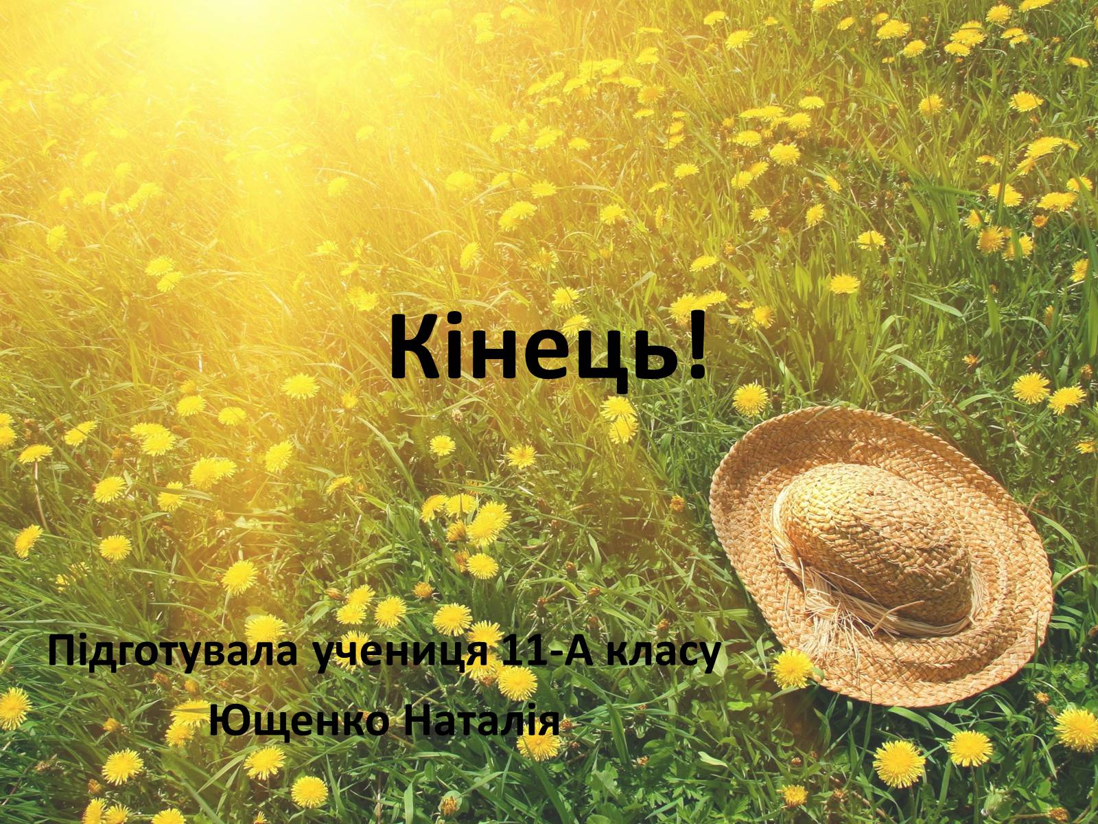 Презентація на тему «Колообіг речовин у природі» (варіант 1) - Слайд #11 Презентація на тему «Колообіг речовин у природі» (варіант 1) - Слайд #11