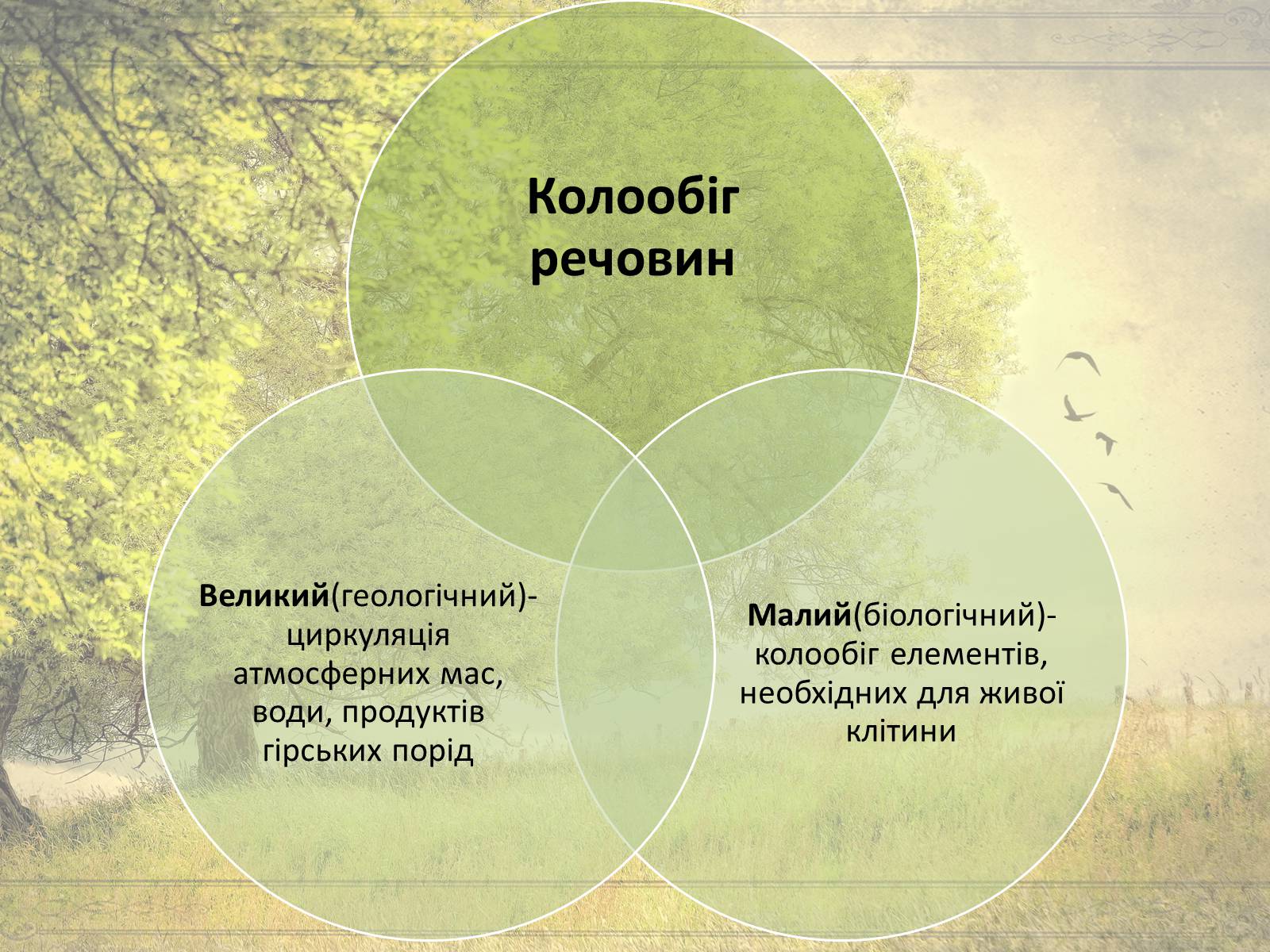 Презентація на тему «Колообіг речовин у природі» (варіант 1) - Слайд #3 Презентація на тему «Колообіг речовин у природі» (варіант 1) - Слайд #3