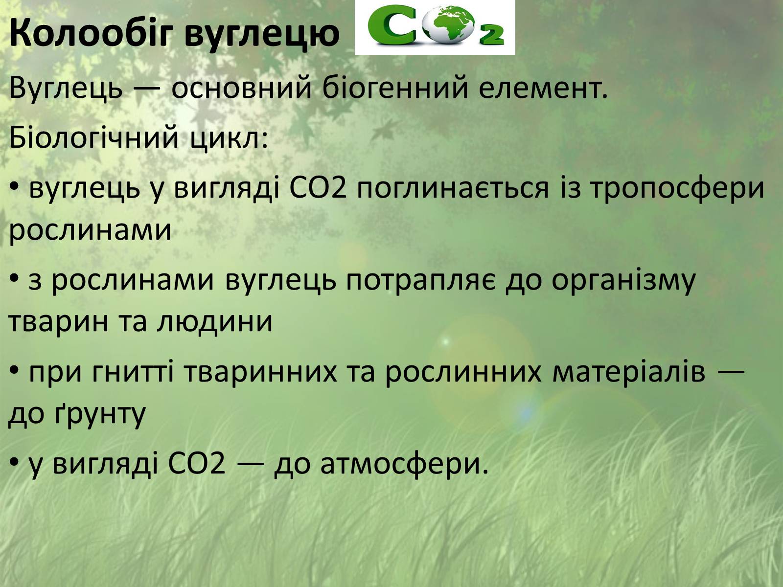 Презентація на тему «Колообіг речовин у природі» (варіант 1) - Слайд #5 Презентація на тему «Колообіг речовин у природі» (варіант 1) - Слайд #5