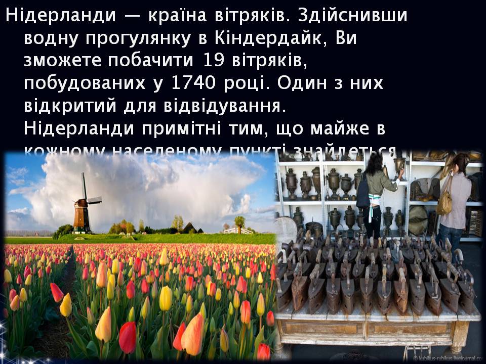 Презентація на тему «Королівство Нідерланди» (варіант 2) - Слайд #10 Презентація на тему «Королівство Нідерланди» (варіант 2) - Слайд #10