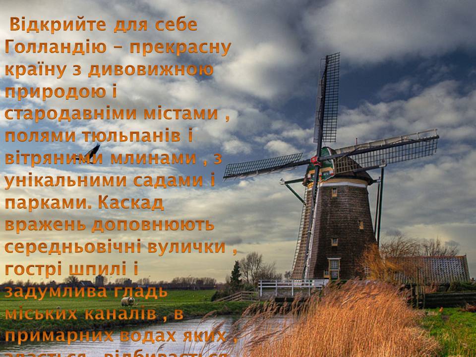 Презентація на тему «Королівство Нідерланди» (варіант 2) - Слайд #3 Презентація на тему «Королівство Нідерланди» (варіант 2) - Слайд #3