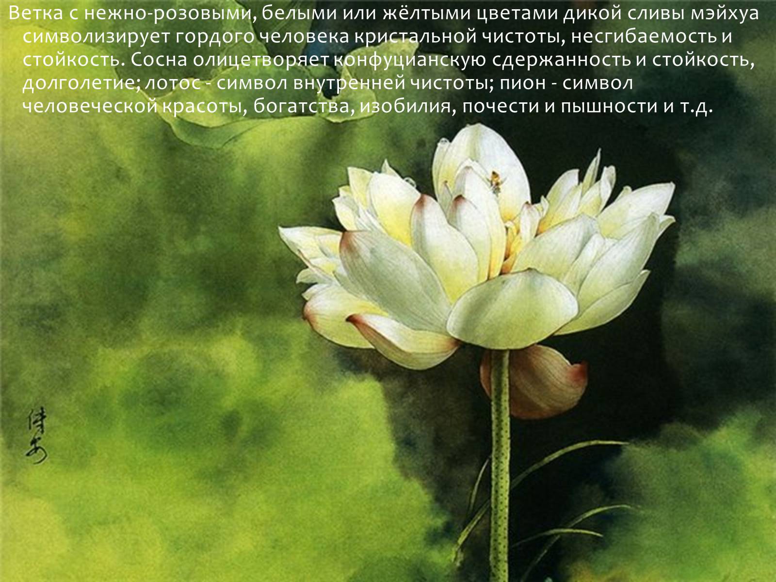 Презентація на тему «Китай» (варіант 9) - Слайд #39 Презентація на тему «Китай» (варіант 9) - Слайд #39