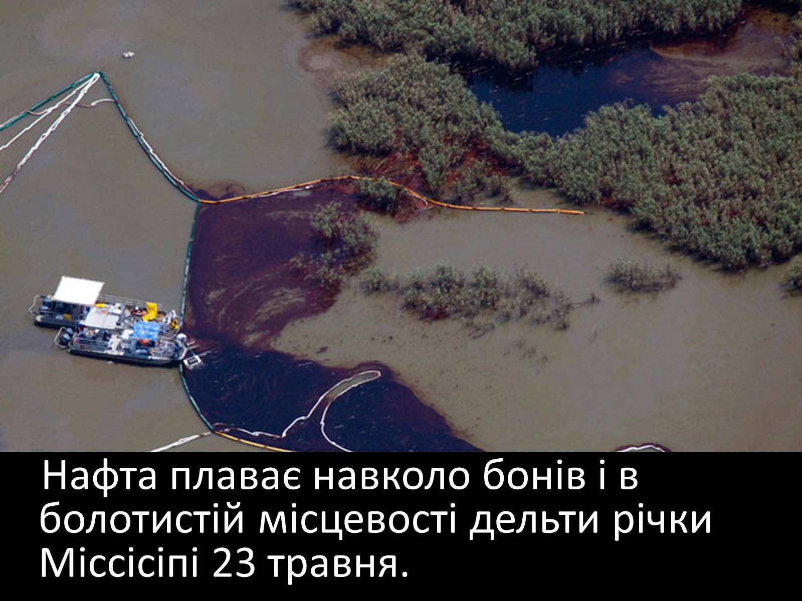 Презентація на тему «Охорона навколишнього середовища» (варіант 2) - Слайд #12 Презентація на тему «Охорона навколишнього середовища» (варіант 2) - Слайд #12