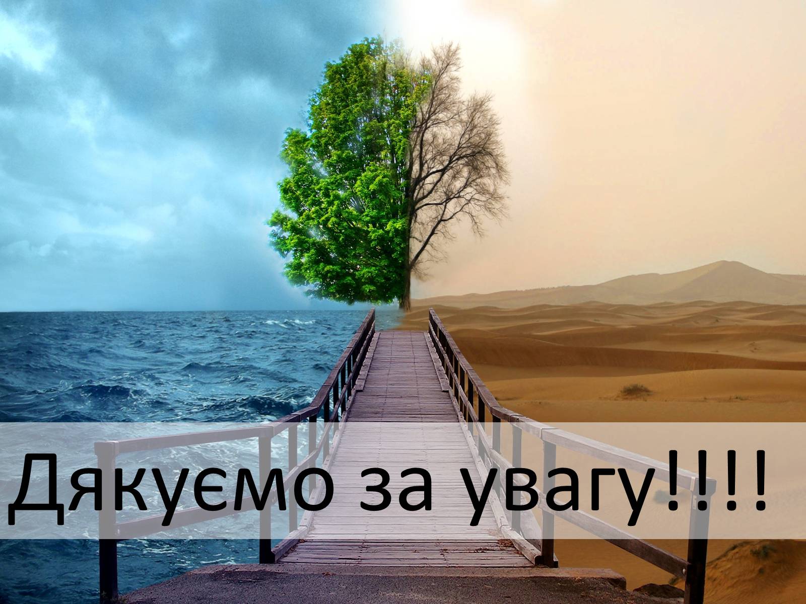 Презентація на тему «Охорона навколишнього середовища» (варіант 2) - Слайд #18 Презентація на тему «Охорона навколишнього середовища» (варіант 2) - Слайд #18