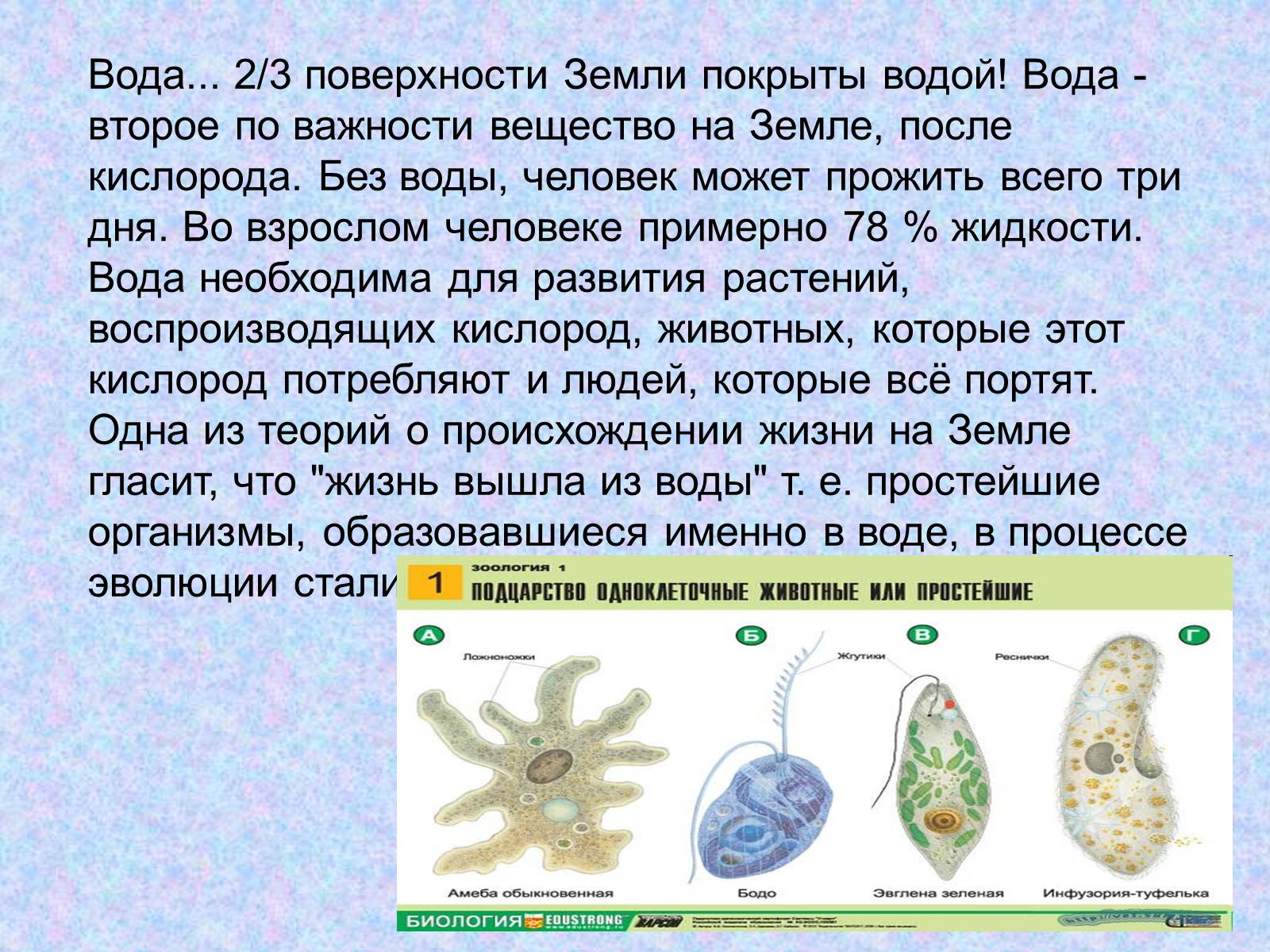 Презентація на тему «Проблемы Мирового Океана» - Слайд #2 Презентація на тему «Проблемы Мирового Океана» - Слайд #2