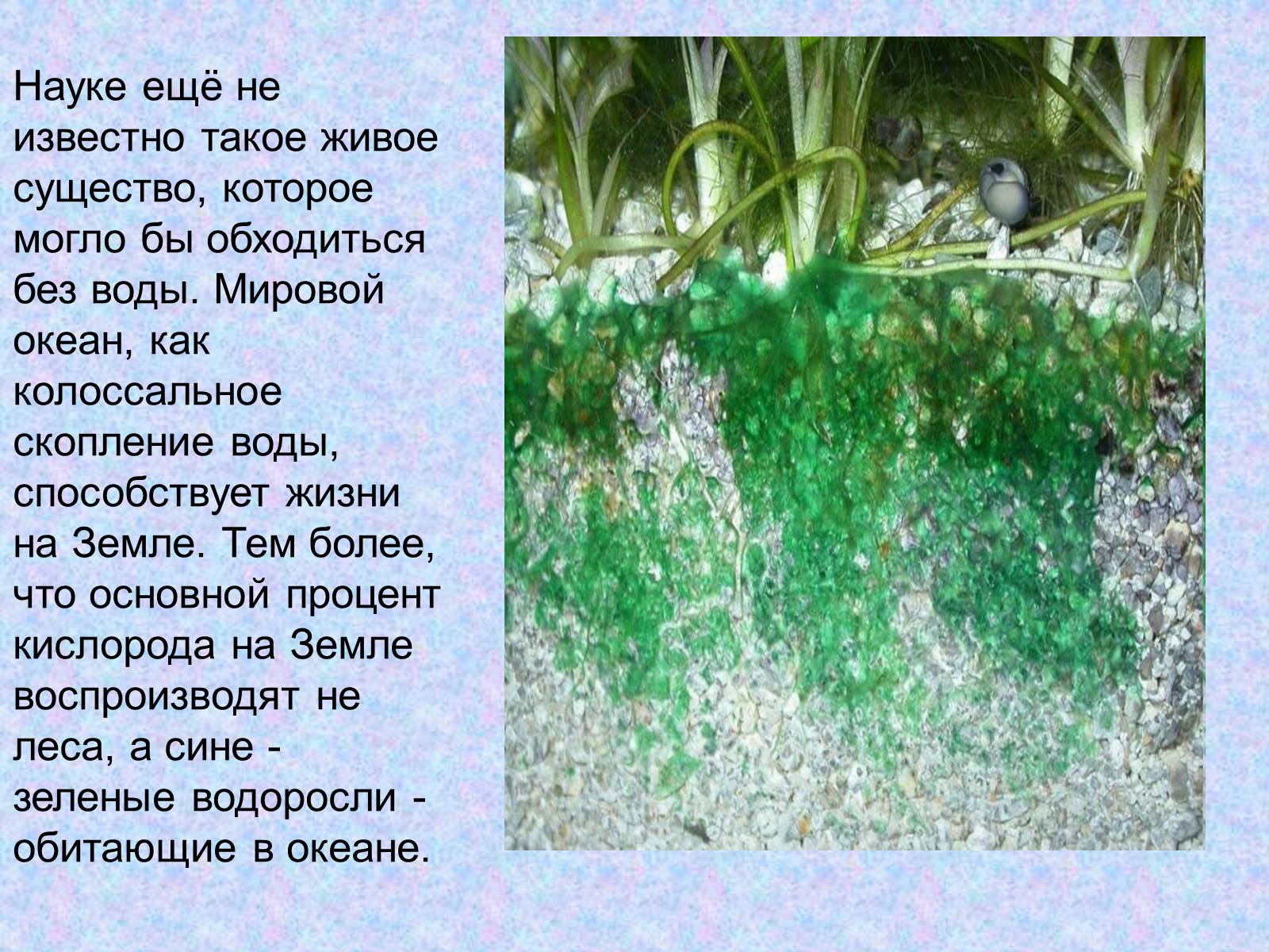 Презентація на тему «Проблемы Мирового Океана» - Слайд #4 Презентація на тему «Проблемы Мирового Океана» - Слайд #4