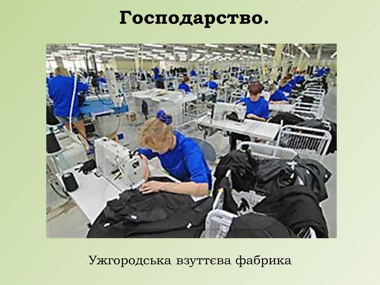 Презентація на тему «Карпатський економічний район» (варіант 1) - Слайд #20 Презентація на тему «Карпатський економічний район» (варіант 1) - Слайд #20