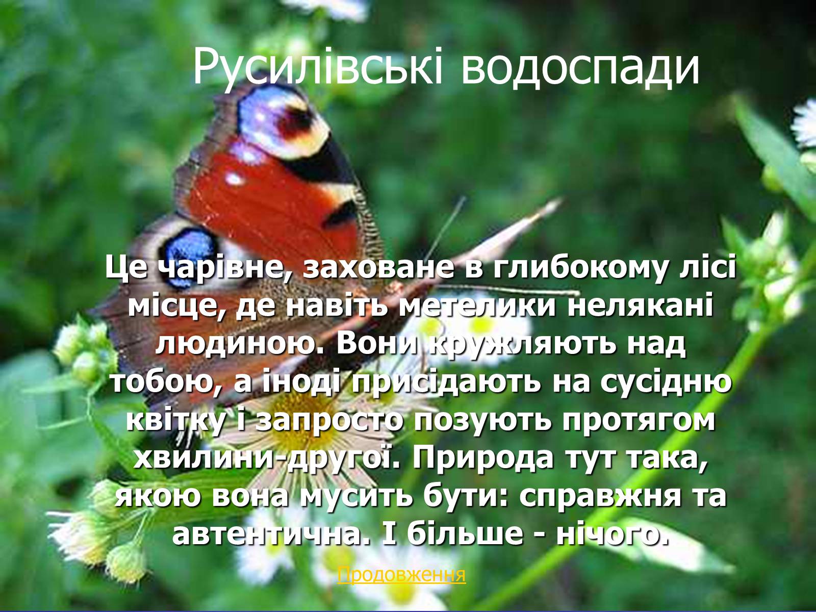 Презентація на тему «Природні дива України» - Слайд #13 Презентація на тему «Природні дива України» - Слайд #13