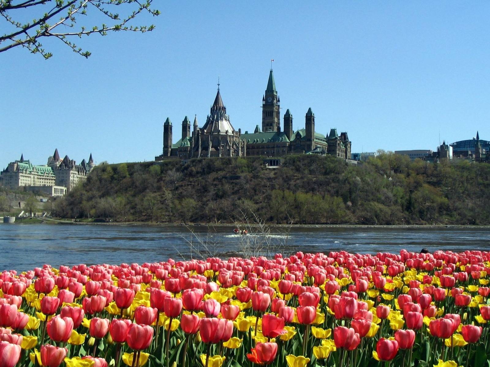 Презентація на тему «Canada» (варіант 3) - Слайд #9 Презентація на тему «Canada» (варіант 3) - Слайд #9
