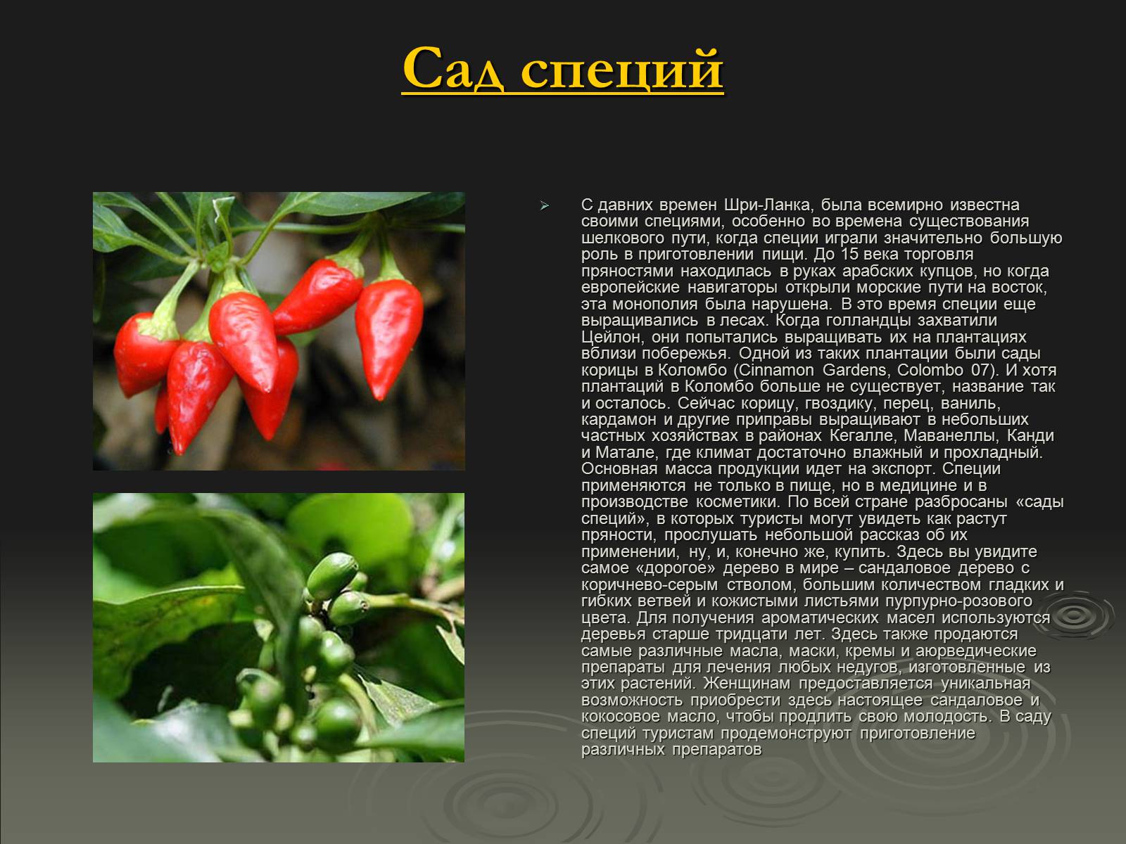Презентація на тему «Флора и фауна Шри-Ланки» - Слайд #10 Презентація на тему «Флора и фауна Шри-Ланки» - Слайд #10