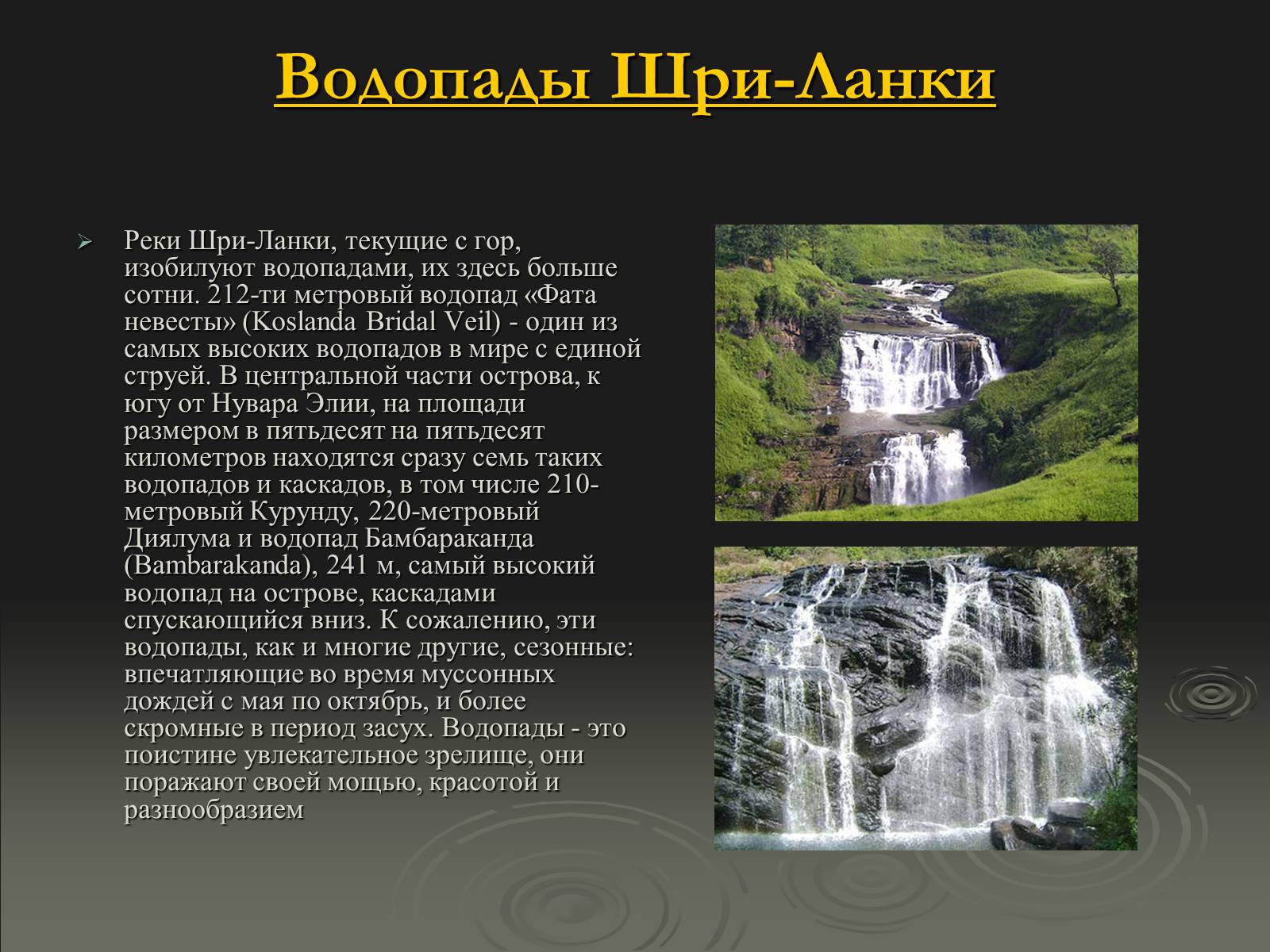 Презентація на тему «Флора и фауна Шри-Ланки» - Слайд #4 Презентація на тему «Флора и фауна Шри-Ланки» - Слайд #4