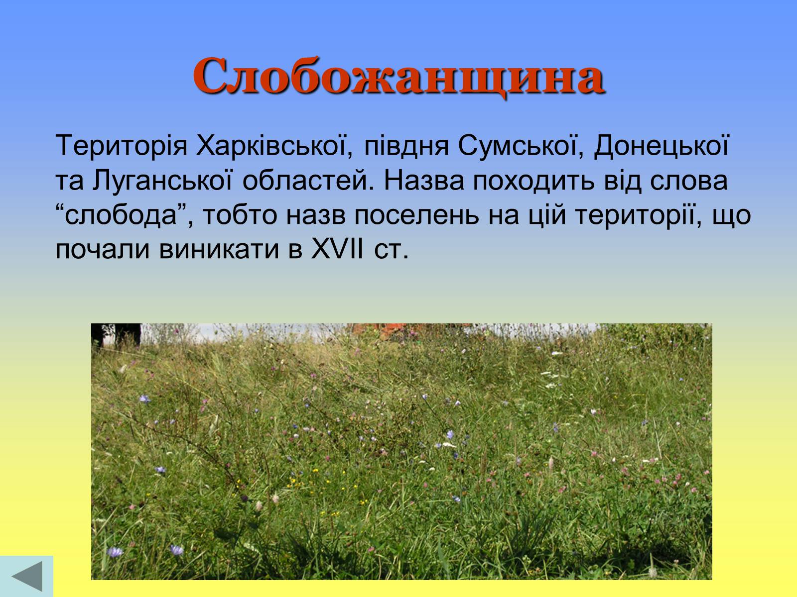 Презентація на тему «Етнічні землі України» - Слайд #9 Презентація на тему «Етнічні землі України» - Слайд #9