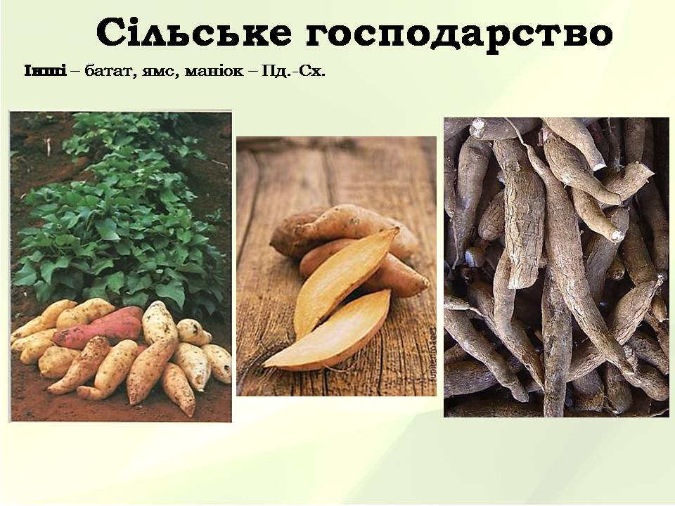 Презентація на тему «Китайська Народна Республіка» (варіант 5) - Слайд #30 Презентація на тему «Китайська Народна Республіка» (варіант 5) - Слайд #30
