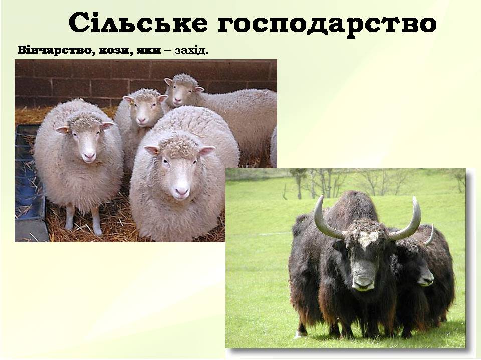 Презентація на тему «Китайська Народна Республіка» (варіант 5) - Слайд #33 Презентація на тему «Китайська Народна Республіка» (варіант 5) - Слайд #33