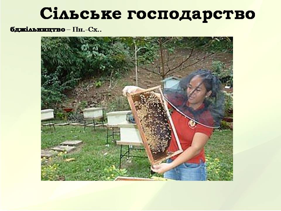 Презентація на тему «Китайська Народна Республіка» (варіант 5) - Слайд #34 Презентація на тему «Китайська Народна Республіка» (варіант 5) - Слайд #34