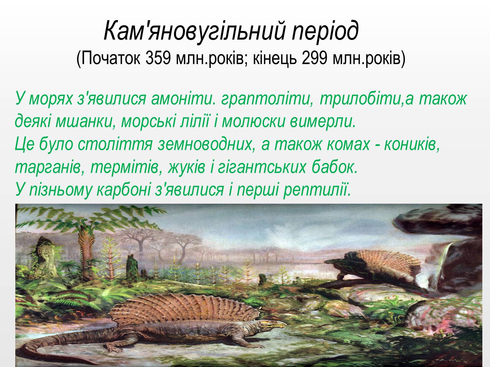 Презентація на тему «Палеозойска эра» - Слайд #12 Презентація на тему «Палеозойска эра» - Слайд #12