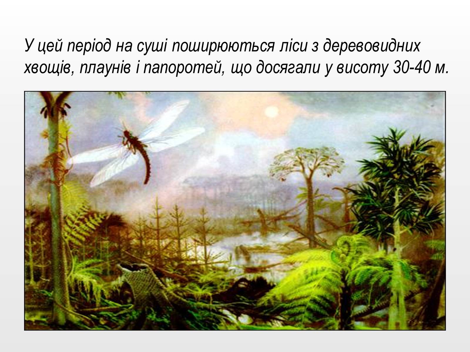 Презентація на тему «Палеозойска эра» - Слайд #13 Презентація на тему «Палеозойска эра» - Слайд #13